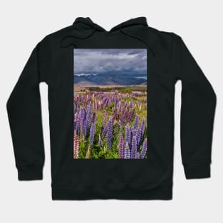 A Church in a Field of Lupins Hoodie